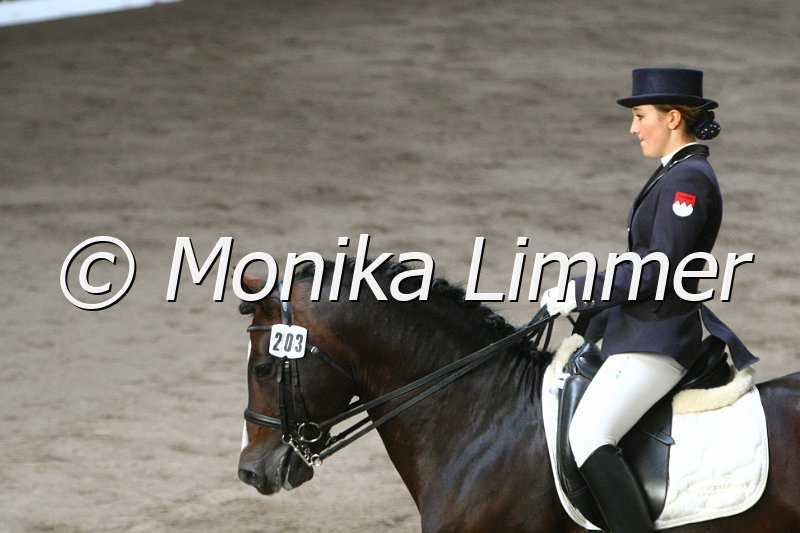 109L8534_Haacon_L Dressur.JPG